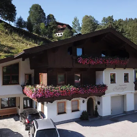 Zum Schatzberg Wild021 * Auffach