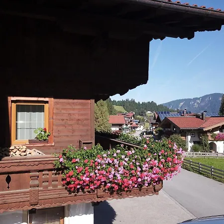 Zum Schatzberg Wild021 Auffach