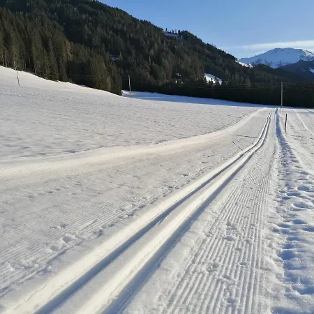 Zum Schatzberg Wild021 Auffach
